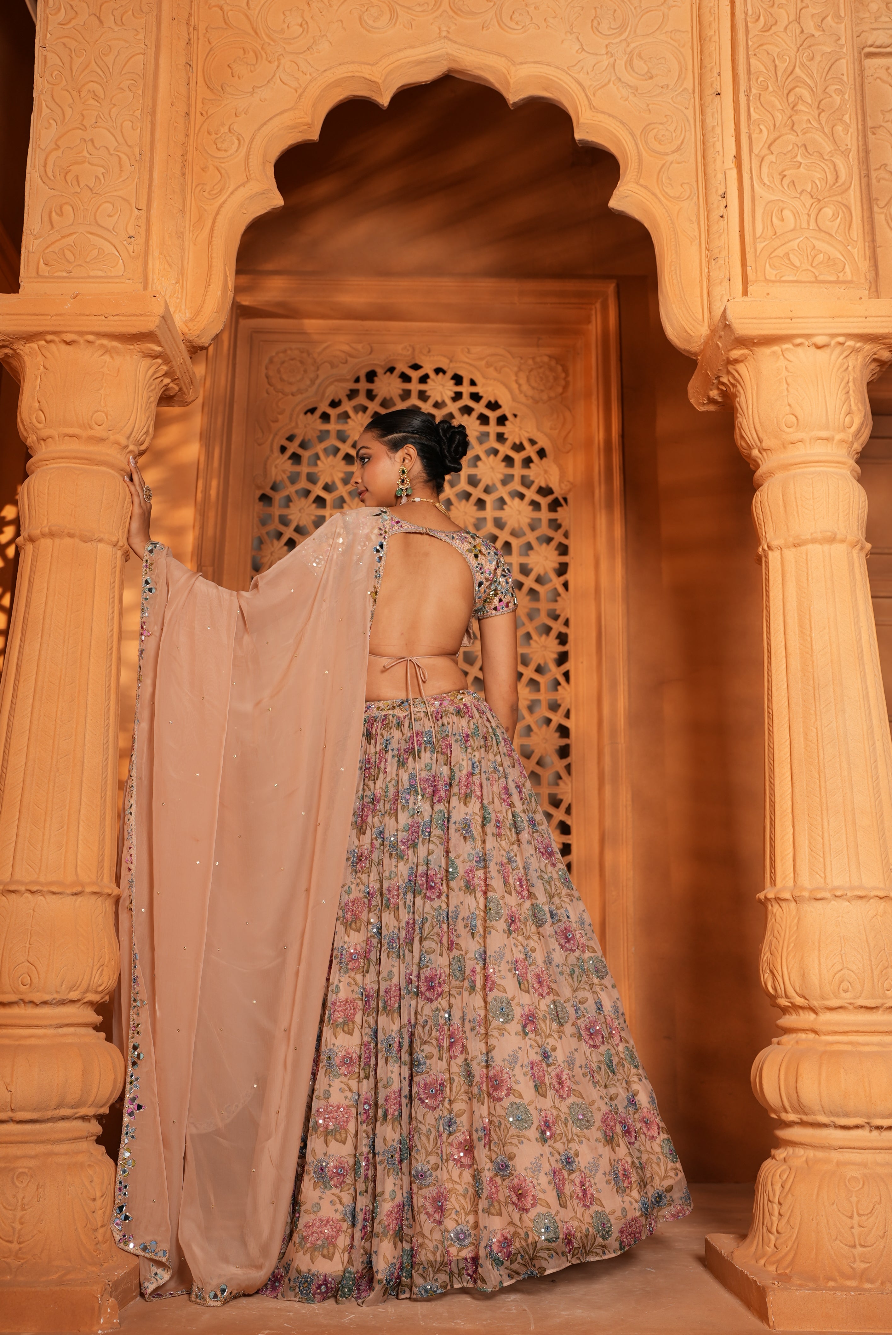 Multi-Colour (Printed)(Mirror Details) Lehenga