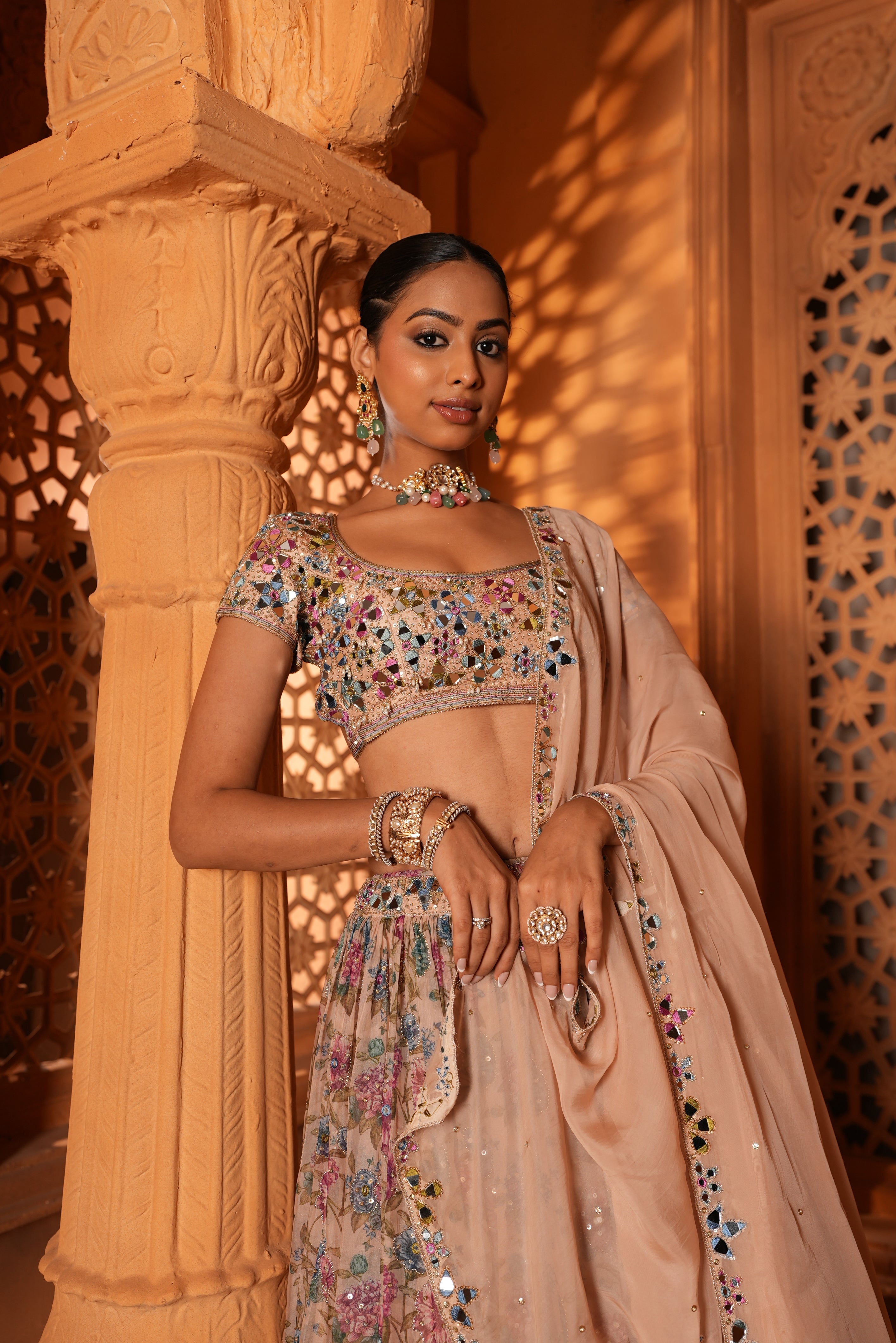 Multi-Colour (Printed)(Mirror Details) Lehenga