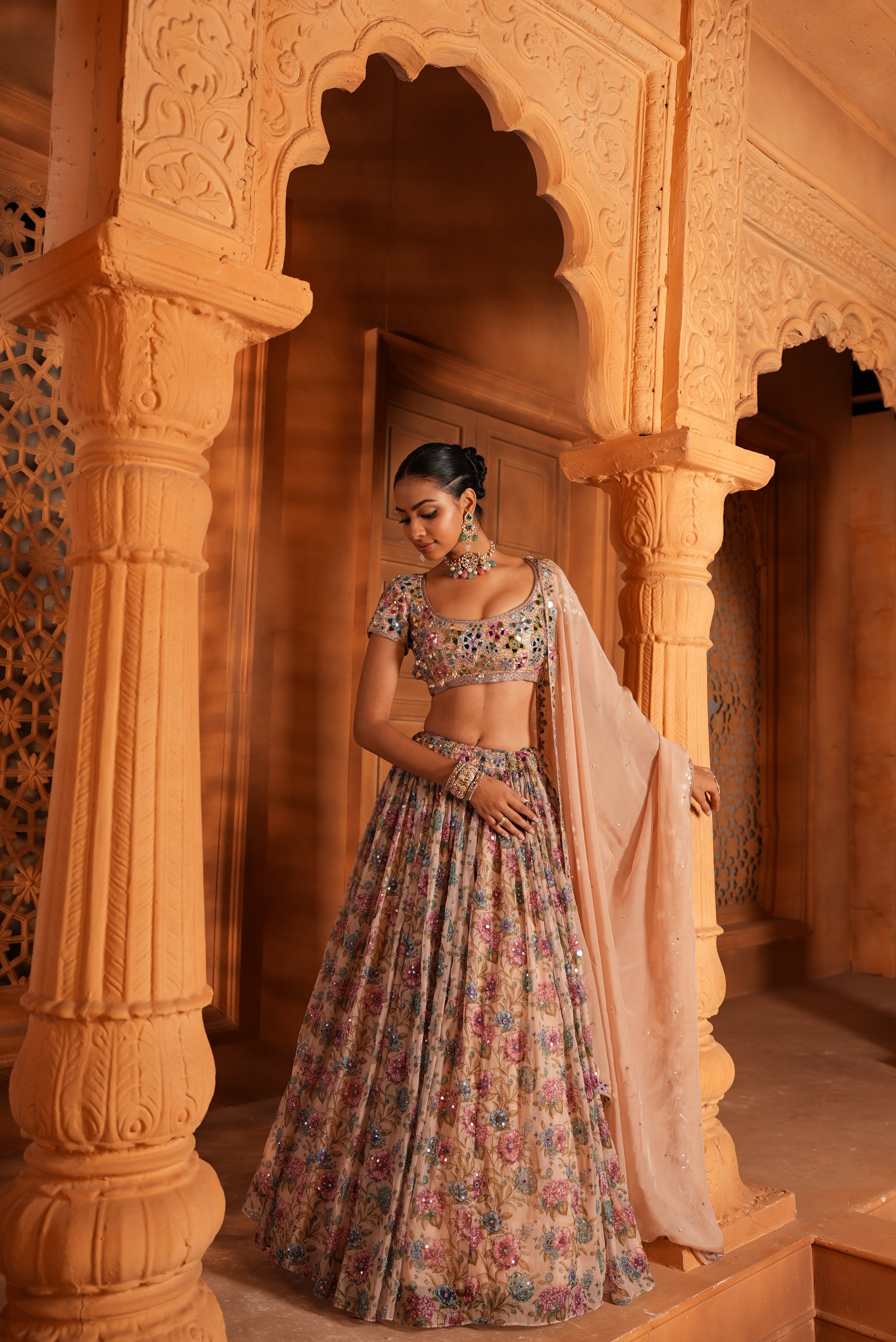 Multi-Colour (Printed)(Mirror Details) Lehenga